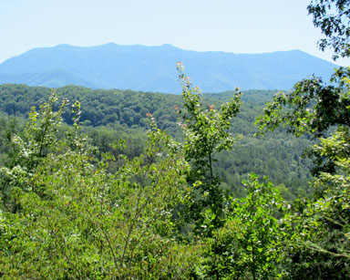 Smoky Mountains
