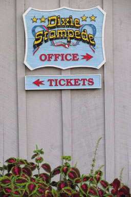 Dixie Stampede