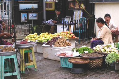 Scotts Market