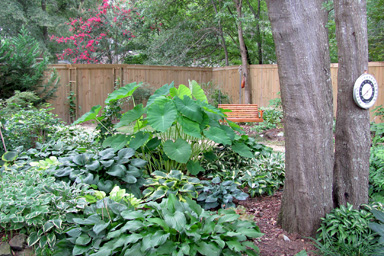 Werka Garden