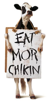 Chick-fil-a Cow